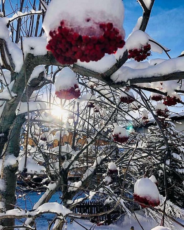 Ferienhaus Septimer Bivio Dış mekan fotoğraf